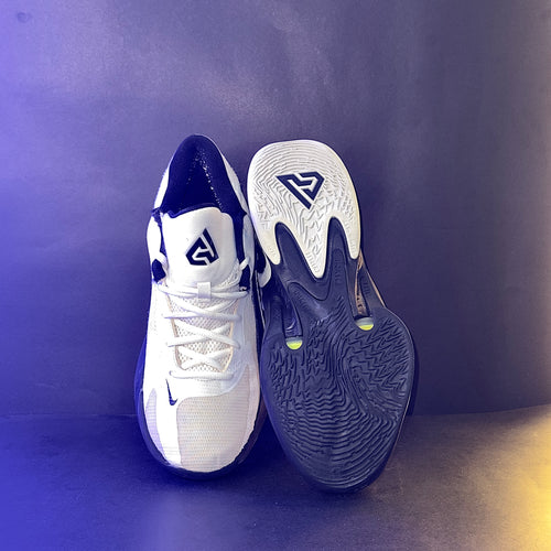 Nike Zoom Freak 4 Basketball Shoes – White & Black